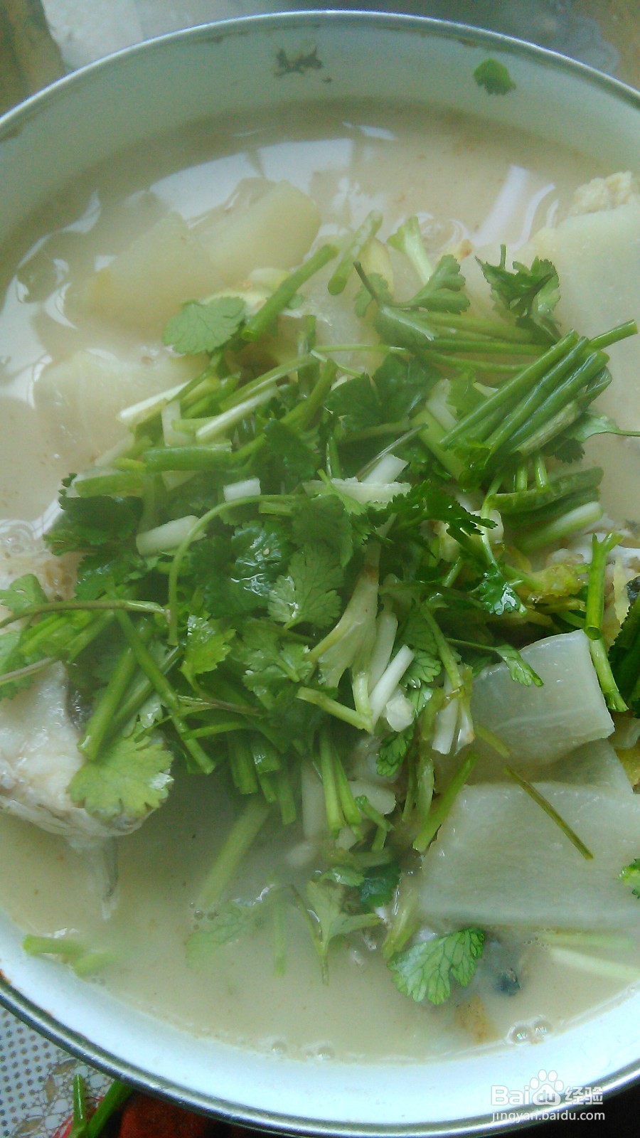 怎样做萝卜煮鱼?