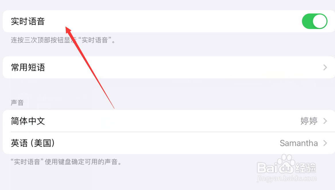 苹果平板怎么设置实时语音