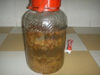 土方法制葡萄酒