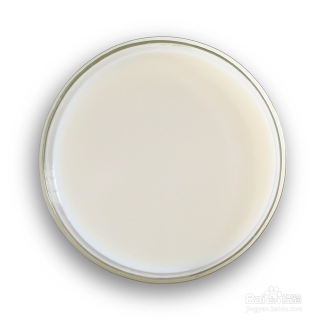 daogrs甜咸任君选，丝滑蒸蛋