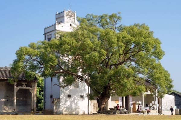 黄金周攻略之珠海的必去景点