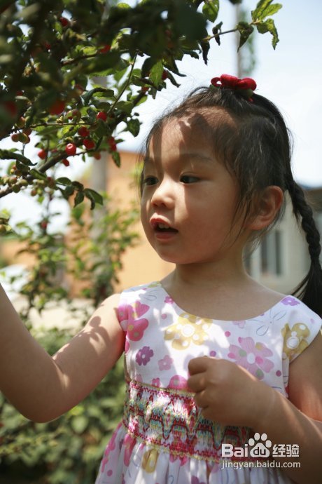 端午假期第二天