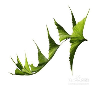 如何选择合适的鞋子?选鞋的技巧