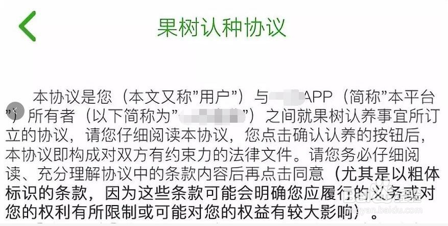 突尼斯软籽石榴开启认种啦!