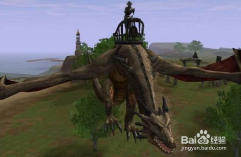 方舟飞龙怎么训？