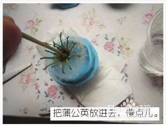 自己动手DIY一个蒲公英透明树脂，好漂亮！