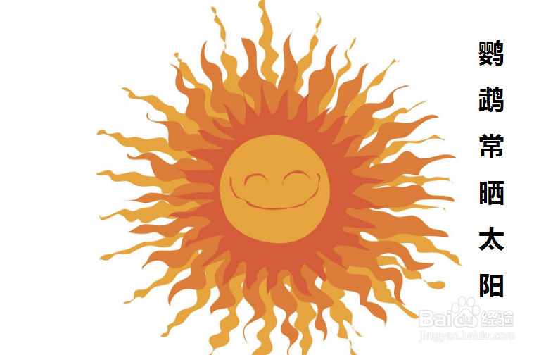 牡丹鹦鹉天冷怎么办