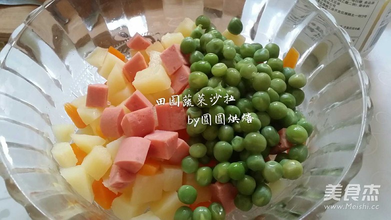 田园沙拉的做法