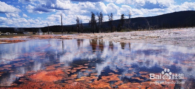 美国旅游攻略 车轮上的日子轻驾美西中的那些天