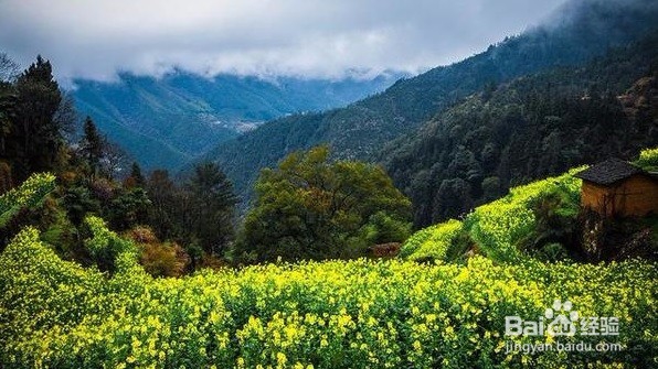 最美仙境，宛如天宫，仙子云集