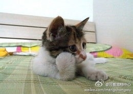 你是有强迫症的人吗