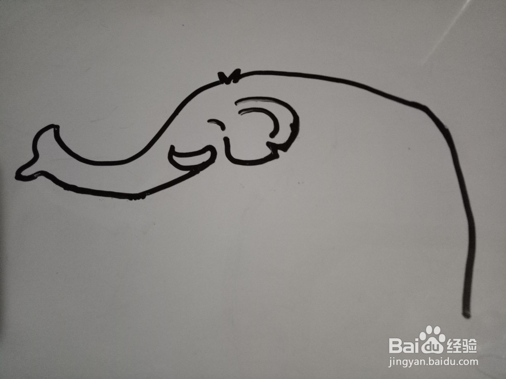 简笔画:喷水的大象