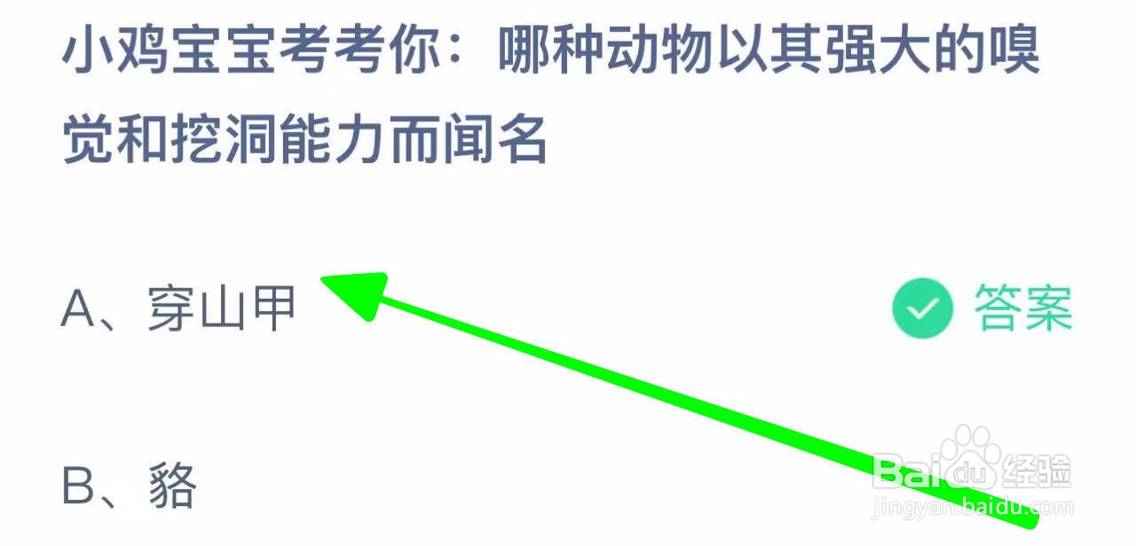 蚂蚁小课堂10.20哪种动物以嗅觉挖洞能力而闻名