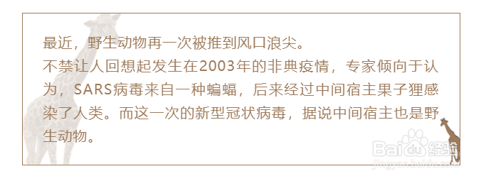 保护野生动物的微信公众号图文应该怎样排版?