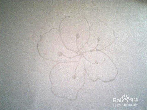 简笔画杜鹃花这样画