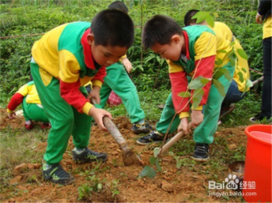2018年植树节是哪天，如何和孩子过植树节？