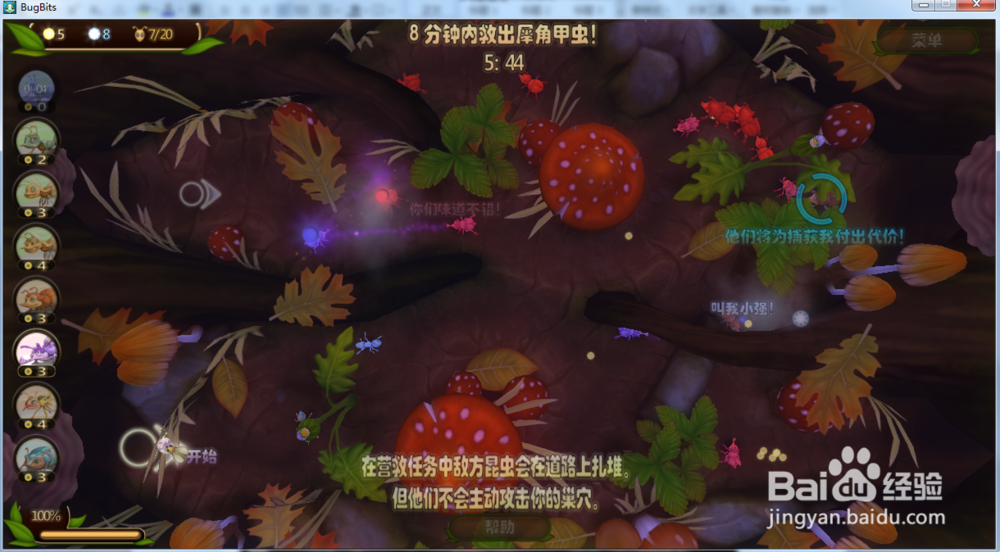 虫虫大作战—营救犀角甲虫攻略