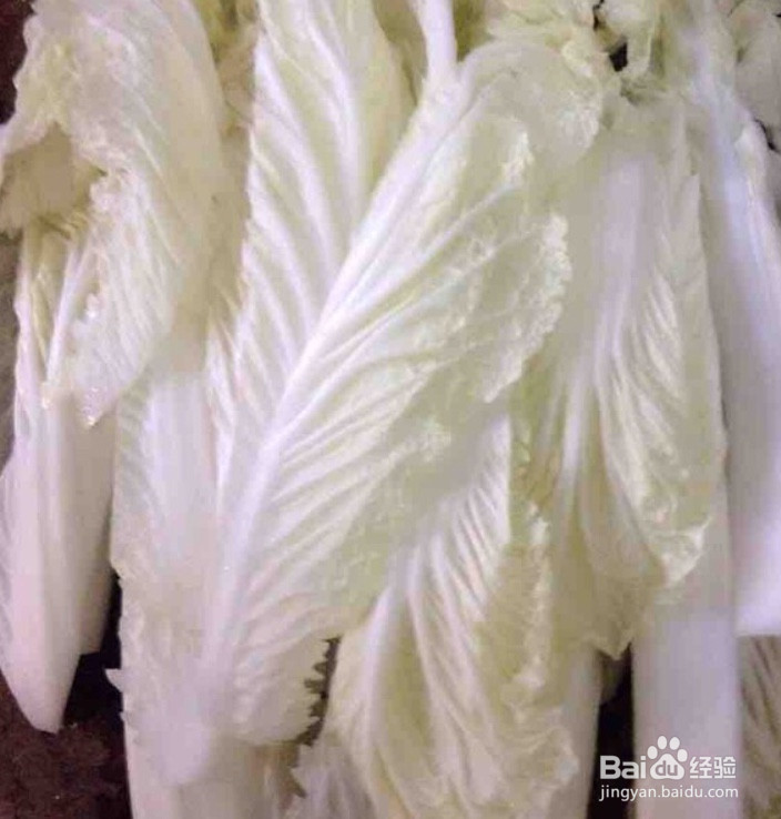 大虾白菜怎么做好吃又简单