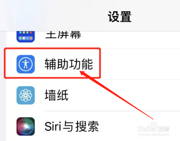 苹果的放大镜功能在哪