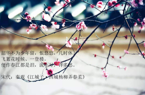 享受岁月美好时光的古诗有哪些