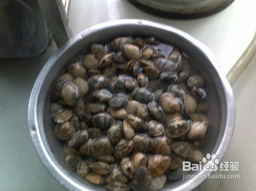 花蛤怎么洗？