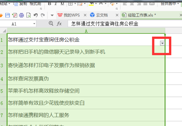 wps中文怎么筛选关键字