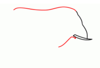 简笔画—如何画一只大象