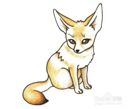 怎么画出q版的狐狸 百度经验 怎么画出q版的狐狸 百度经验