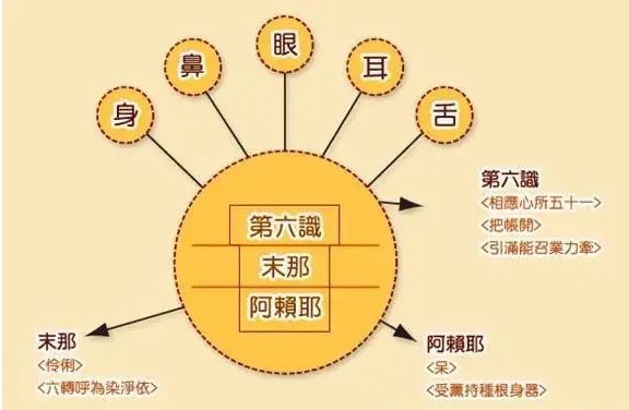 八识指的是哪八识