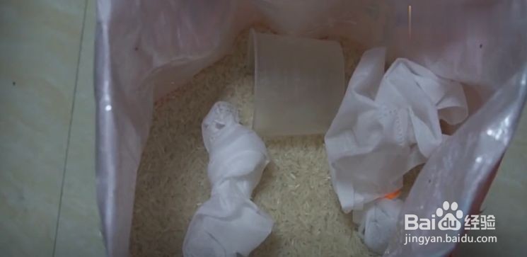 如何防止大米长虫