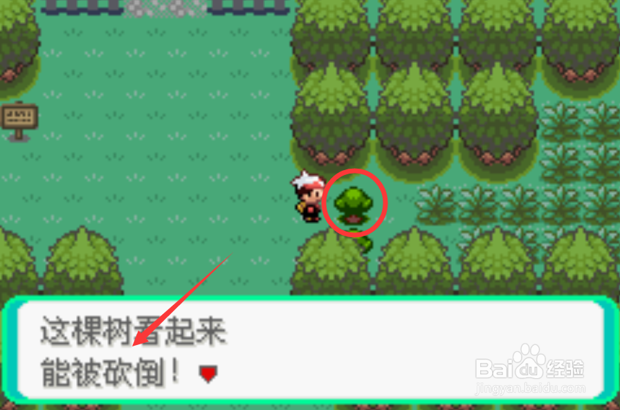 口袋妖怪漆黑的魅影奇迹种子怎么获得