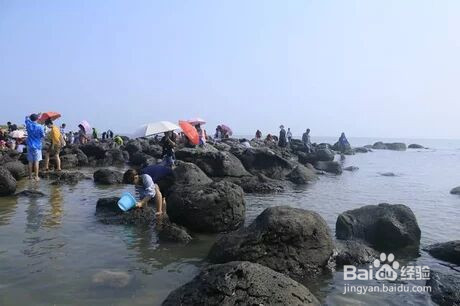 桑岛有什么好玩的#校园共享