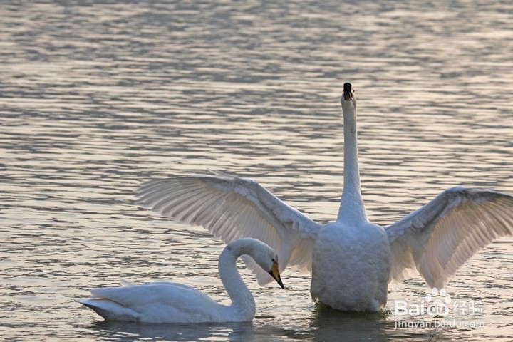 快速瘦身的几个方法，节食恐惧症患者必看