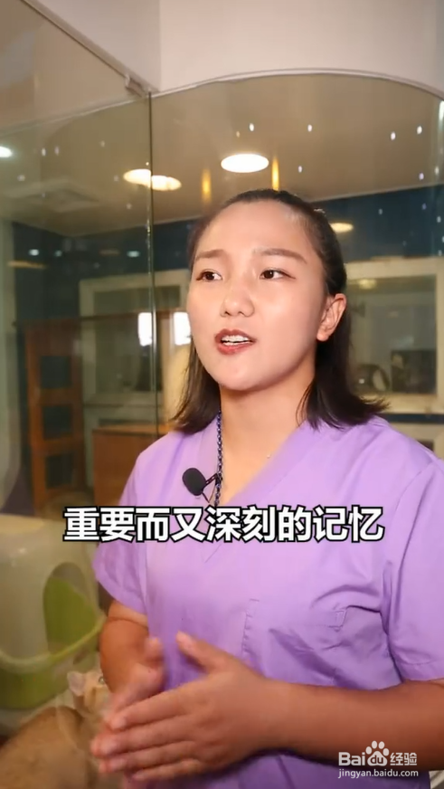 猫咪为什么喜欢踩奶