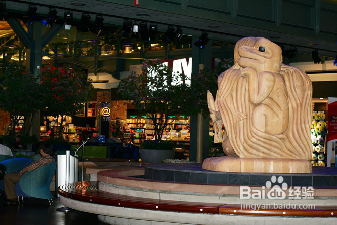 温哥华机场启航去旅行（组图）