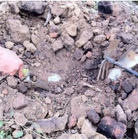 怎么做泥煨鸡全程