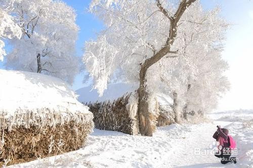 越是冬天，越是要到这些地方去看一看。