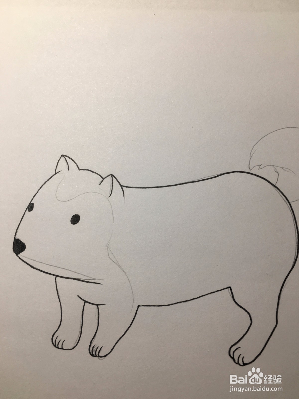 画一只小狗 狗仔简笔画 幼儿简笔画