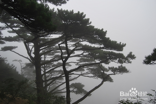 黄山好玩吗？黄山旅游最全面攻略