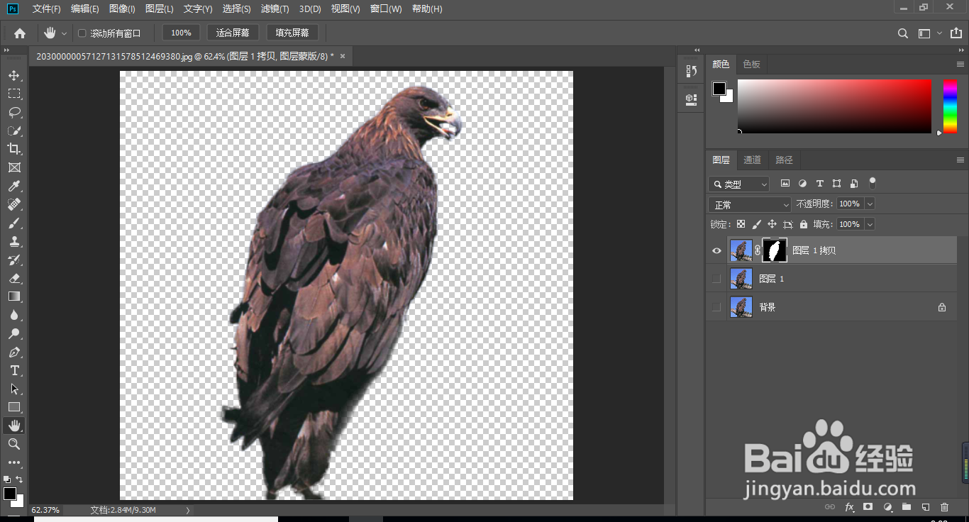 ps抠图，最新最快速的抠图技巧