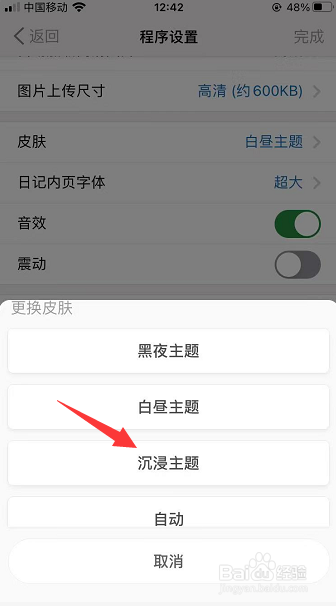 icity怎么设置皮肤主题