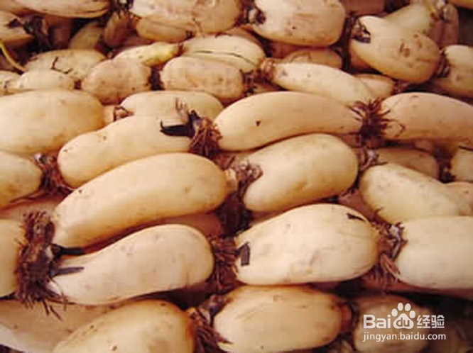 清香醇美的莲藕的做法