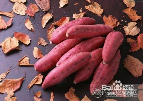 秋季5类补水食物简介