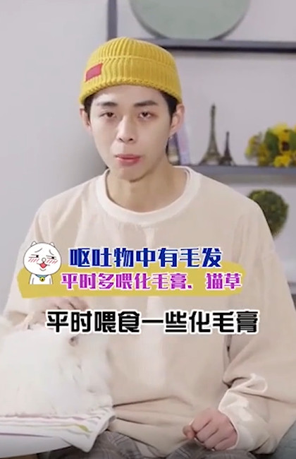猫咪吐黄水怎么办