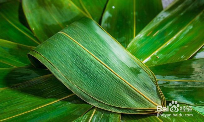 买回来的干粽叶怎么处理