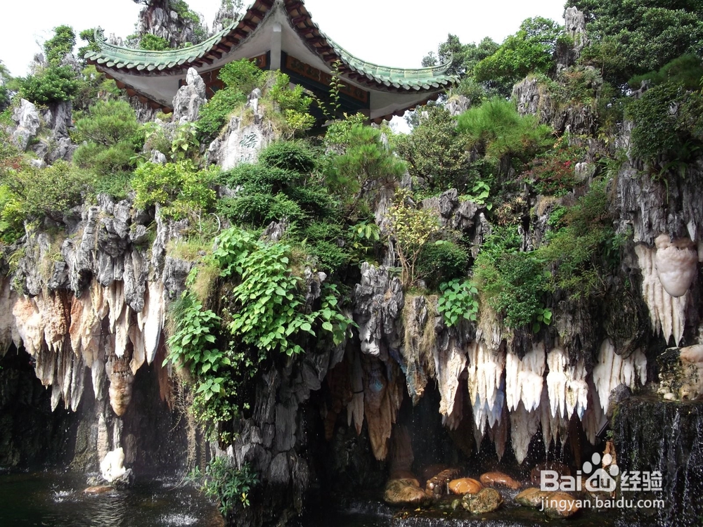 如何在旅游中品尝美食