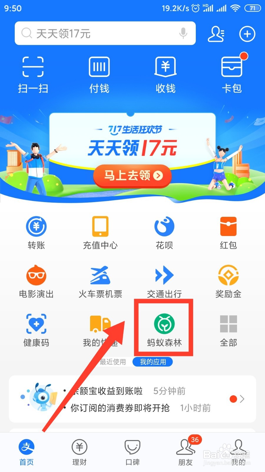 蚂蚁森林怎样结出800多克能量