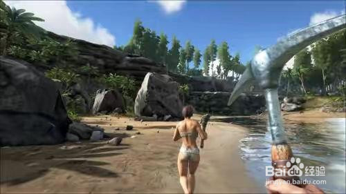 方舟手游风神翼龙刷新点