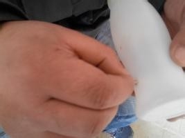 学前班手工：[1]双线拉力器