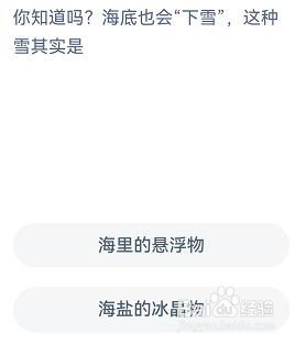 海底下雪其实是什么神奇海洋11.5答案